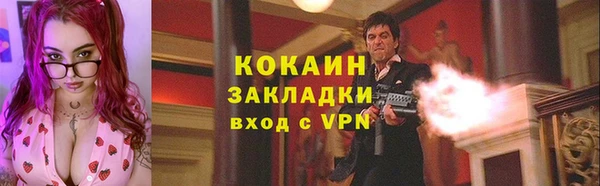 кокс Арсеньев