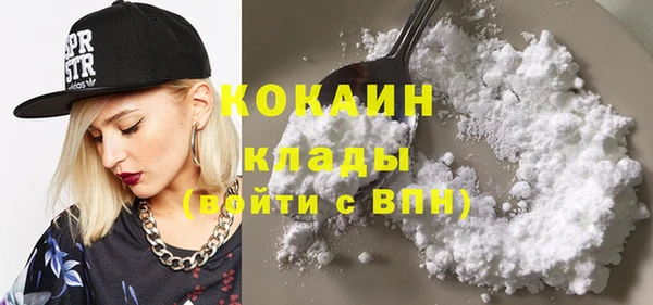 шишки Армянск