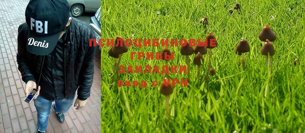 кокс Арсеньев