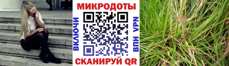 Псилоцибиновые грибы ЛСД  Купить закладки  Оханск 
